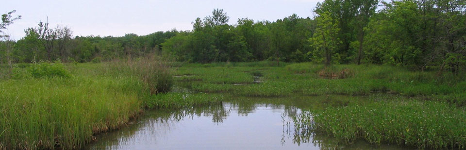 An interdsciplinary approach to wetland science